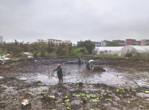 烟台河道鱼塘清淤